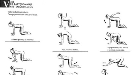 Vaje za raztegovanje hrbteničnih mišic Vaje za raztegovanje hrbteničnih mišic